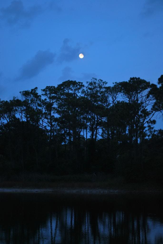 DSC_0215.jpg