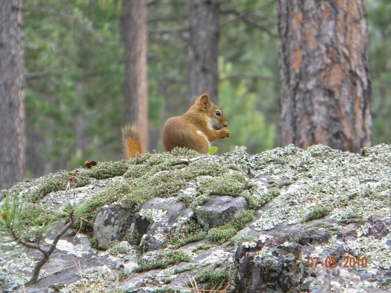 DSCN2499.jpg