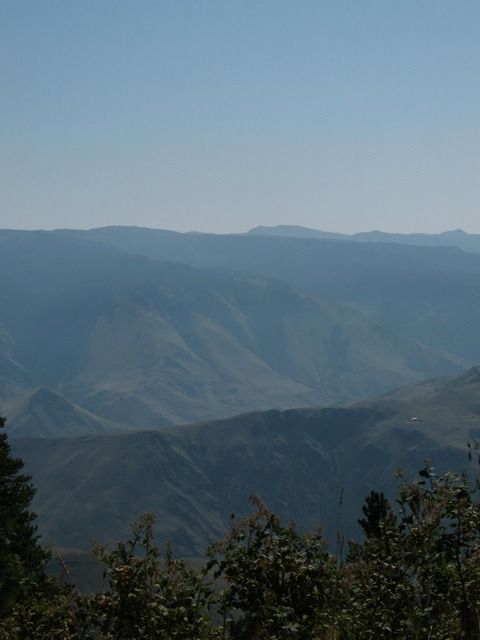 IMG_4427.jpg