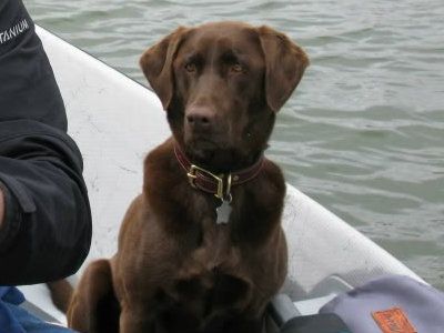 Kona_Boat.jpg