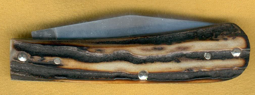 GiveawayScagelBack.jpg