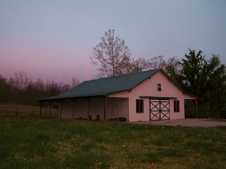 100_8699.JPG