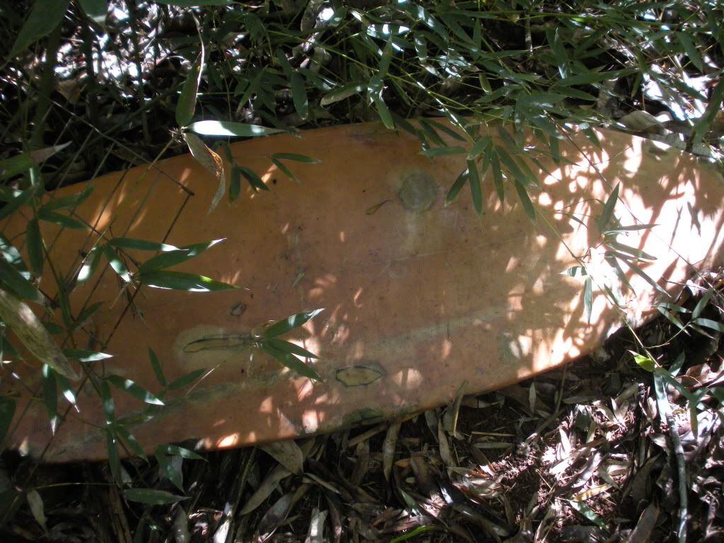 DSCN0750.jpg