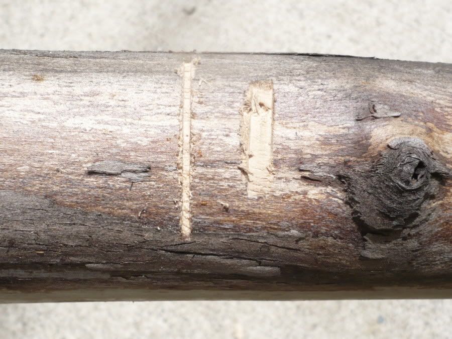 knives007.jpg