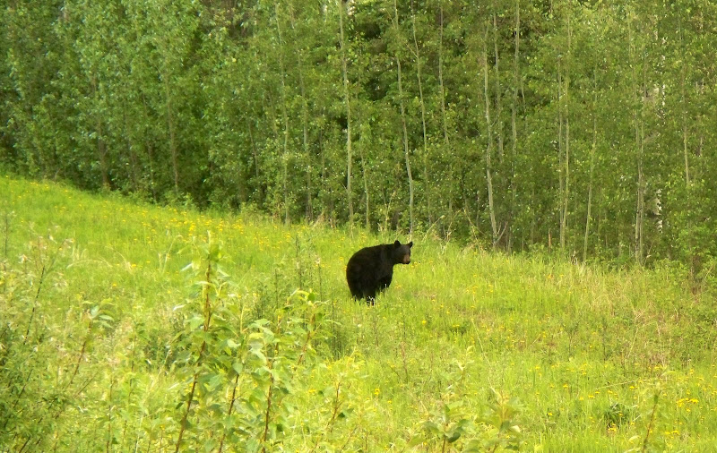 100_8007.JPG