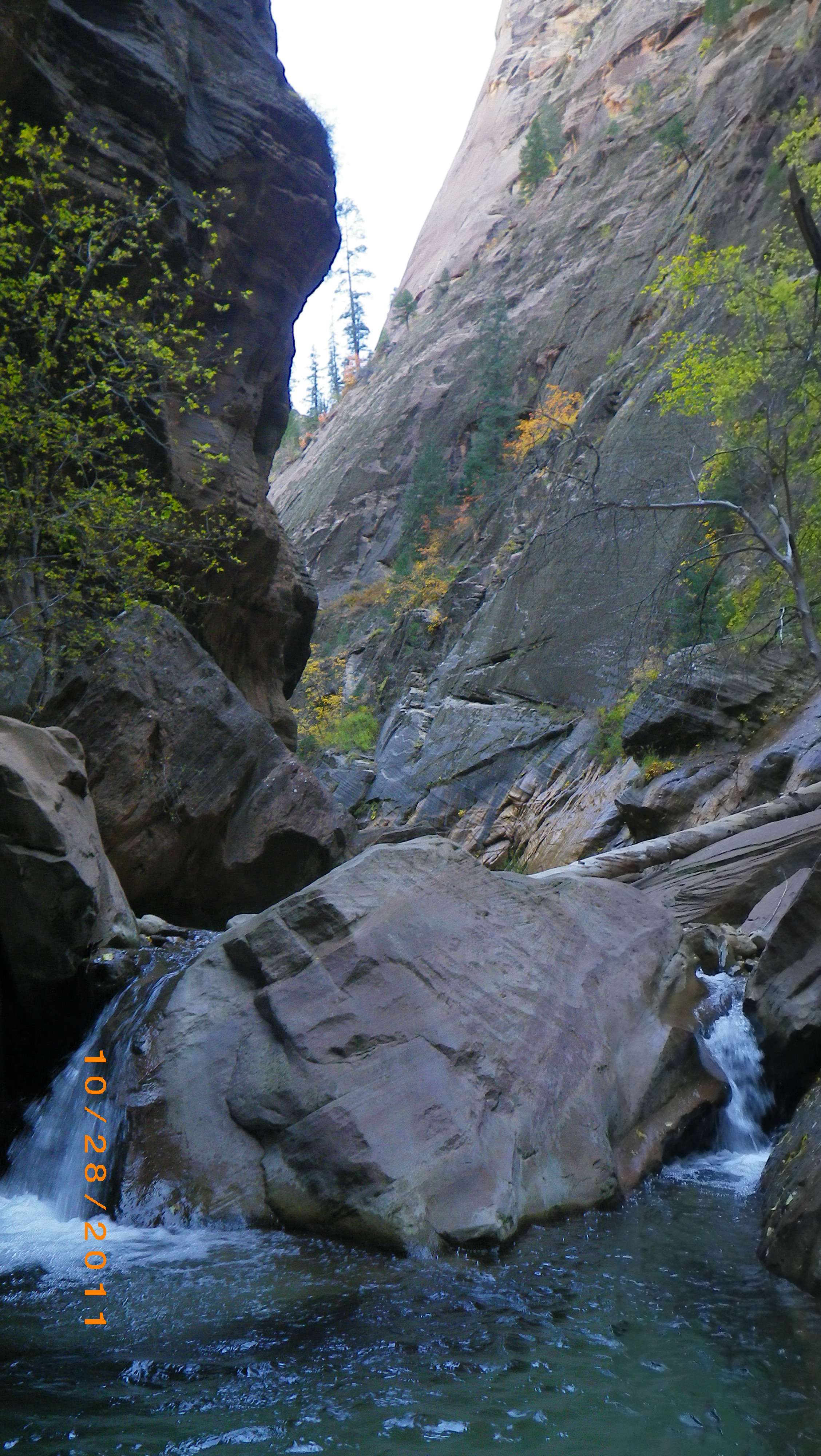 imgp4417v.jpg