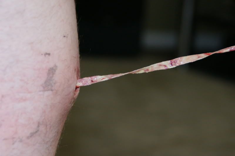 Misc20081066.jpg