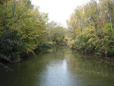 9181569-large.jpg