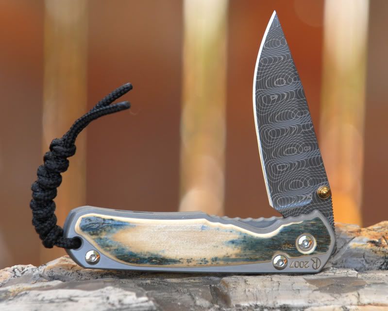 2007_MIB_Ladder_Damascus_LgSebenza.jpg