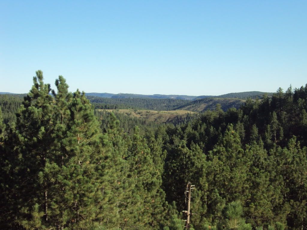 c9440f73.jpg