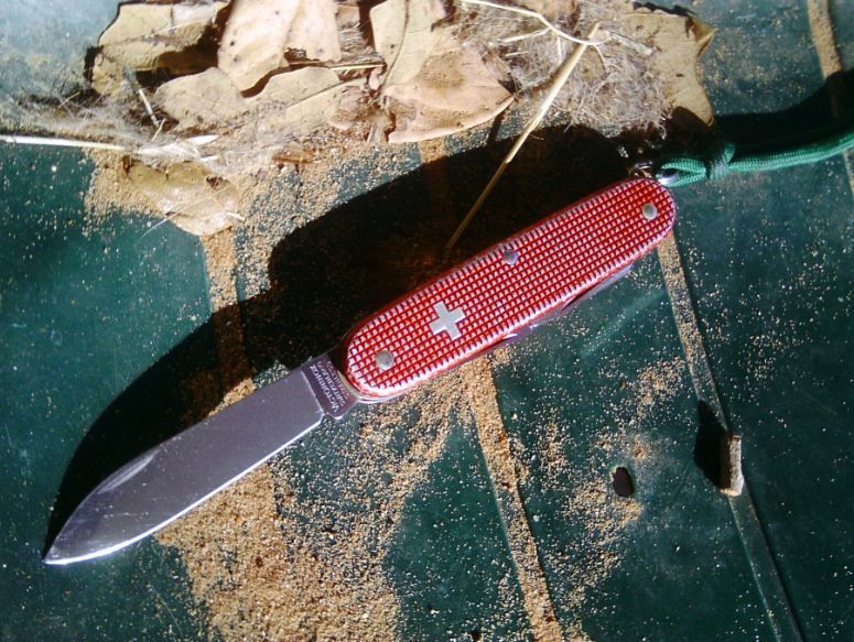 Pioneer%20sun%20green_zpskria9omb.jpg
