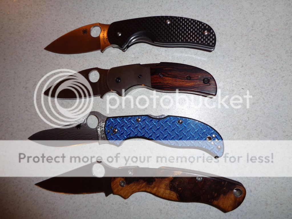 DSC00031_zpsgf5qw19y.jpg