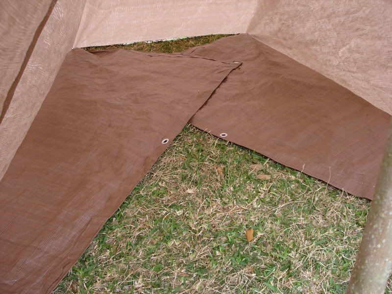 116.jpg