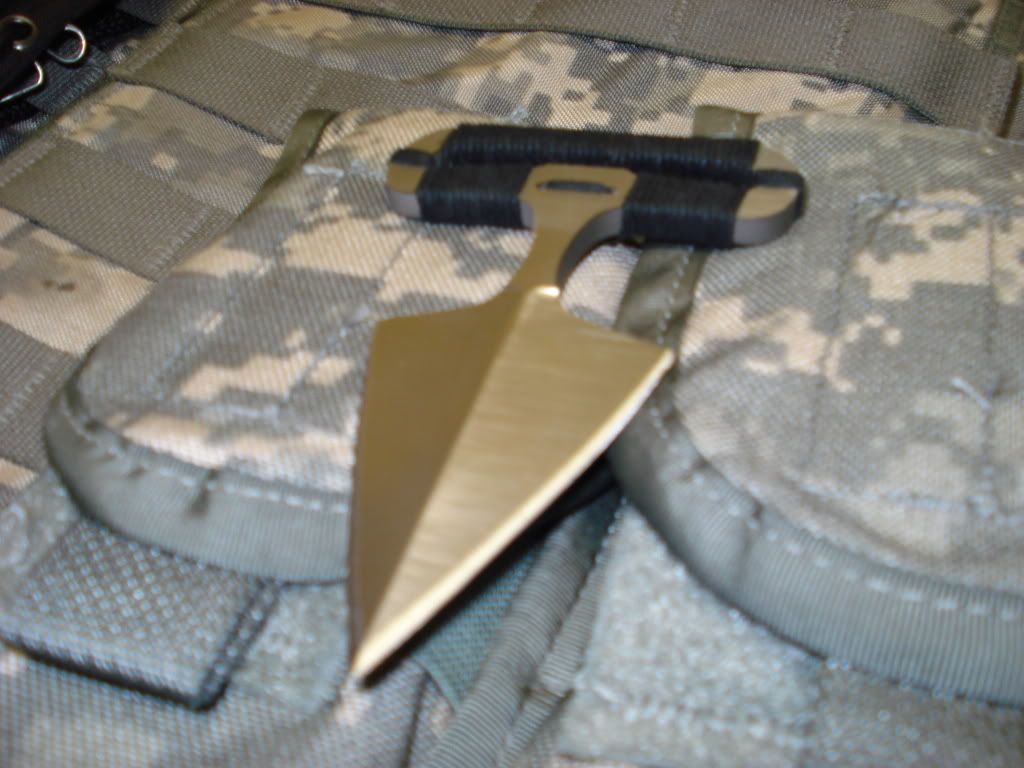DSC01078.jpg