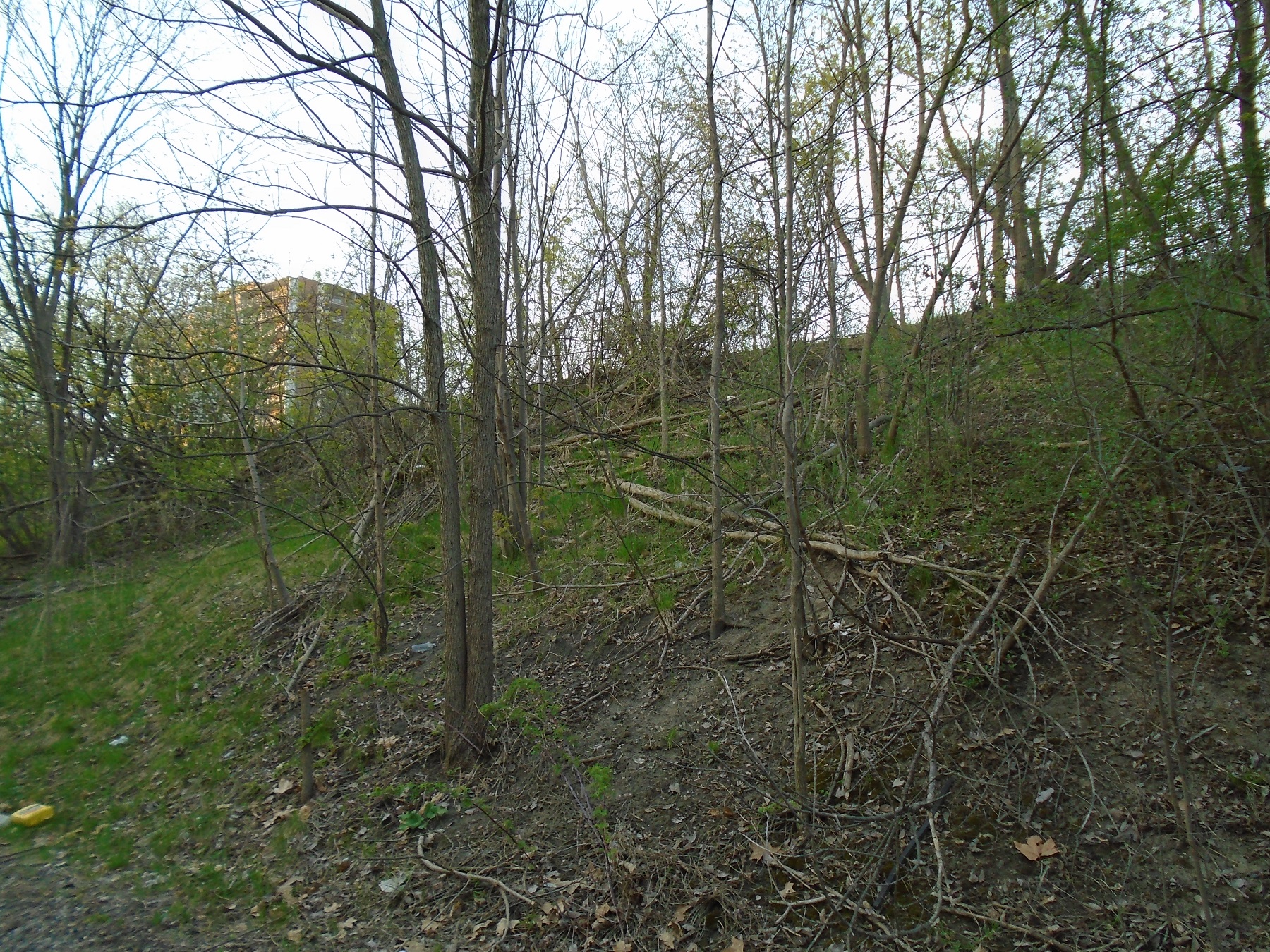 B5GJUk4.jpg