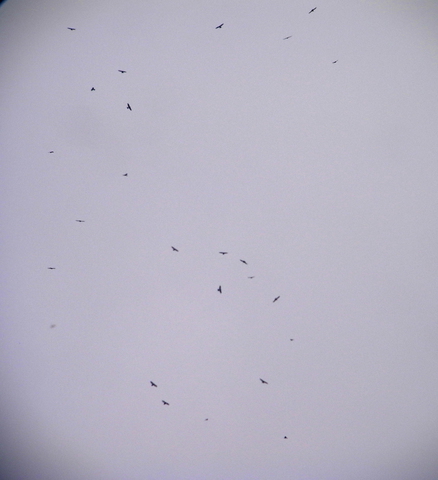 2012.10.01.R0015015.JPG