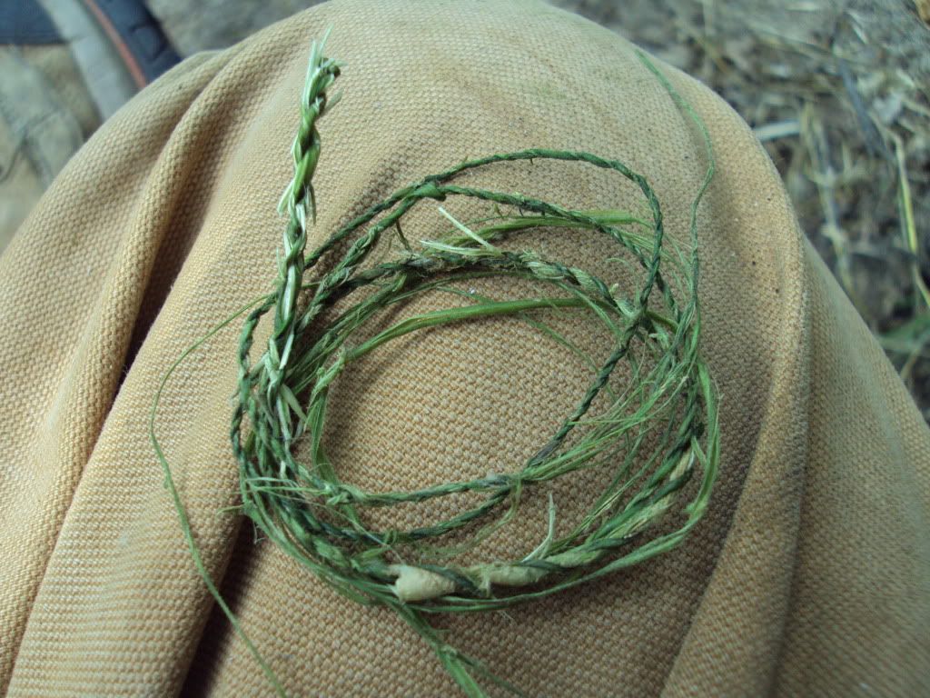 92a5d596.jpg