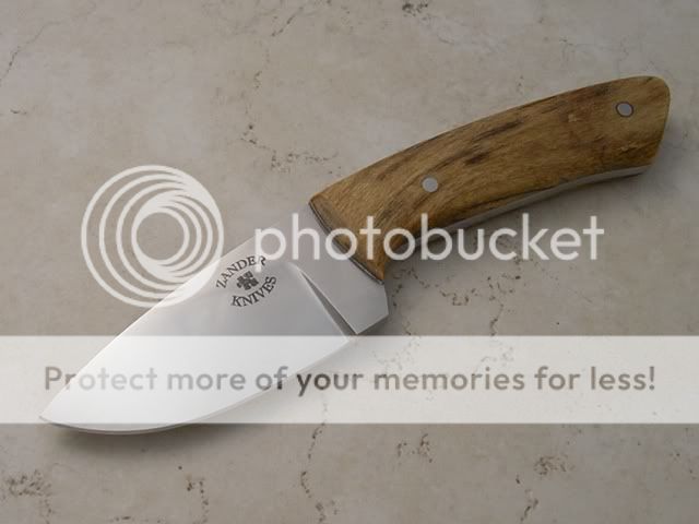 IMGP0499.jpg