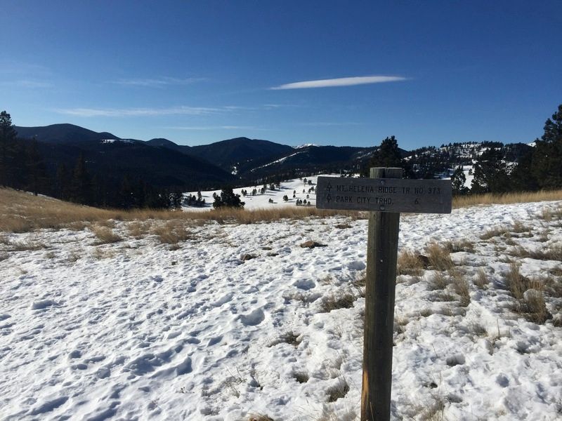 saddlesign_zpsqudtoii1.jpg