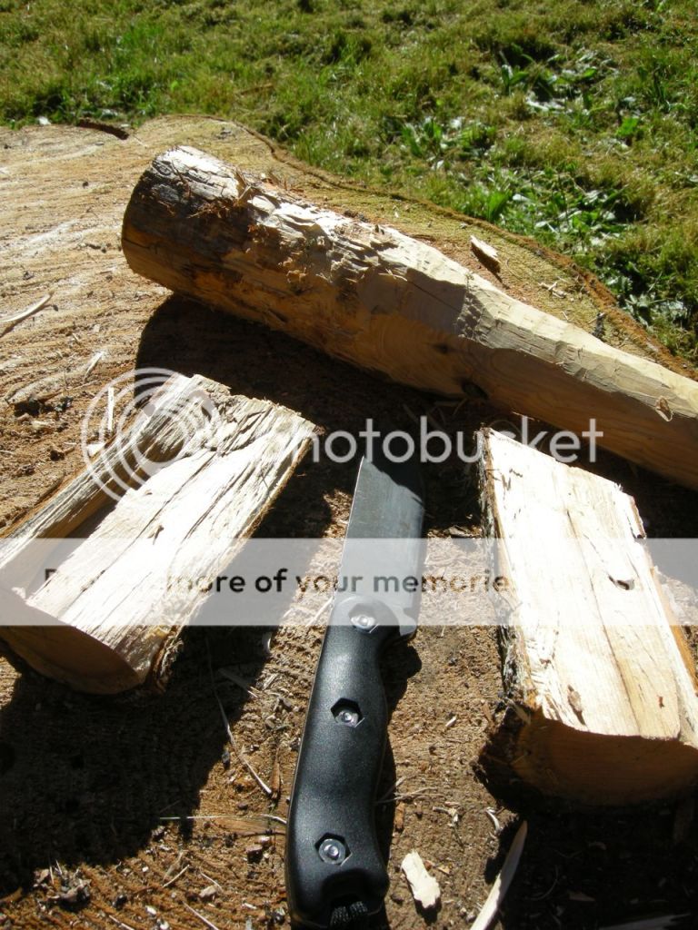 FireContest036.jpg
