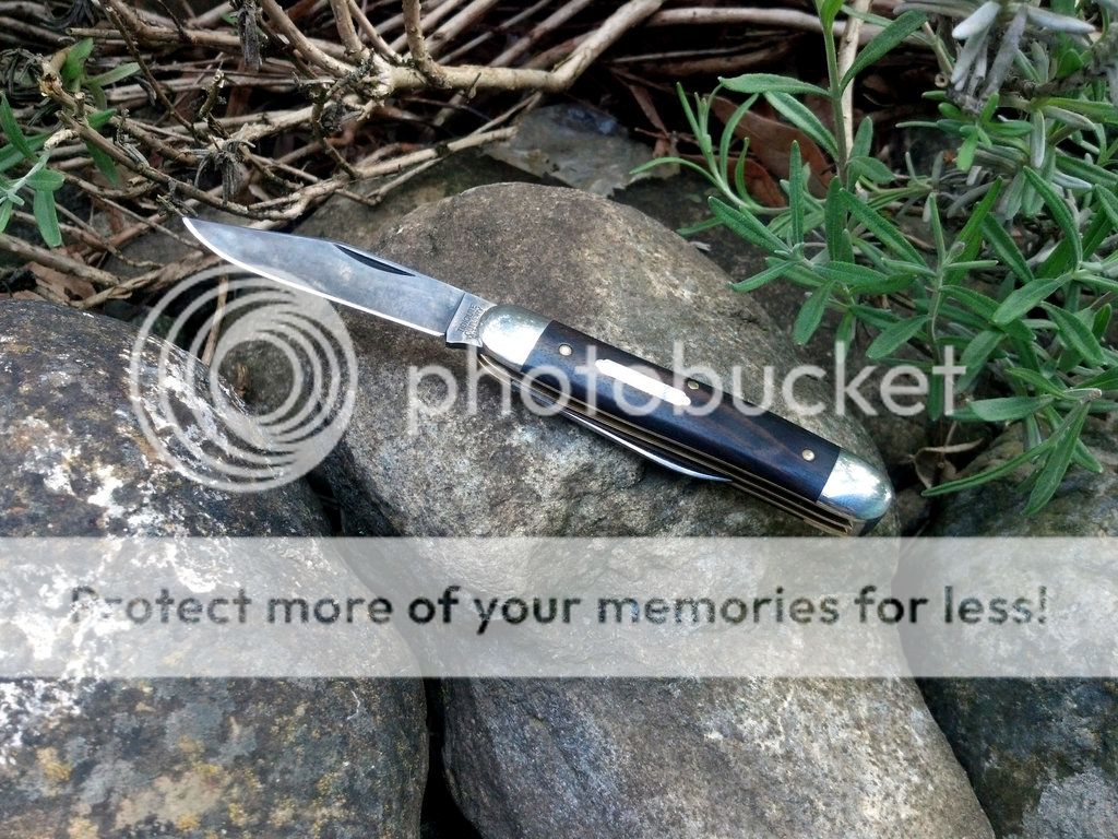 Serpentine_10_small_zpse6225f28.jpg