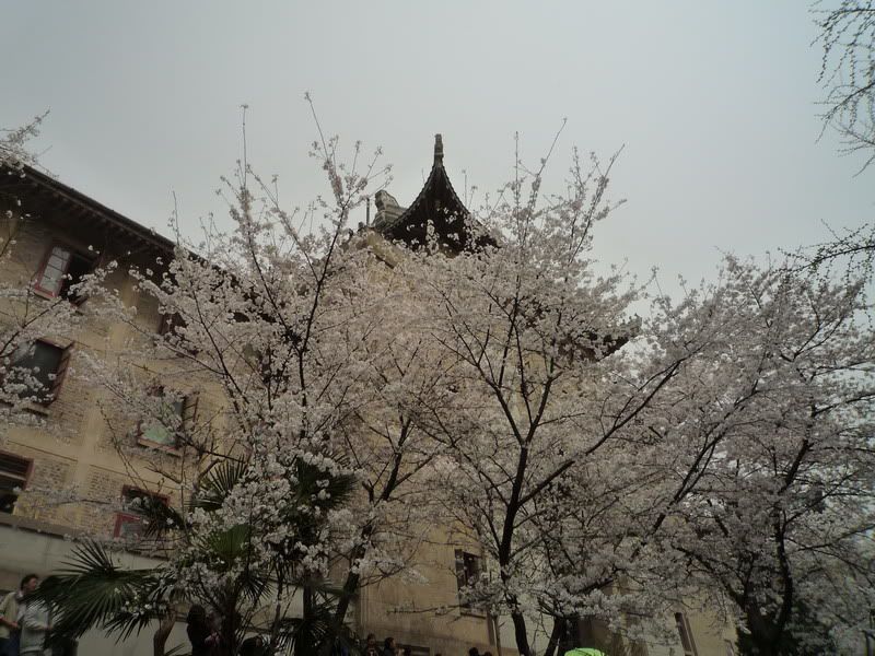 P1050189.jpg