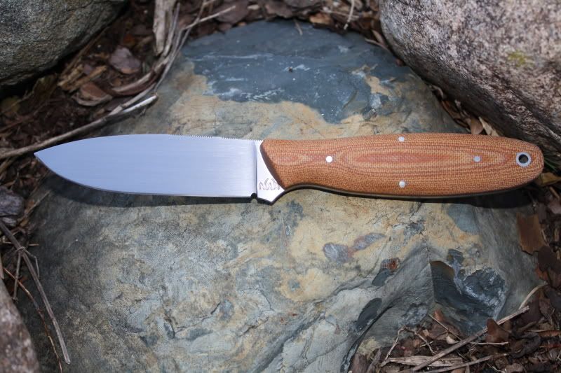 WillowLeaf001.jpg