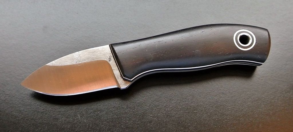 Blackwood%20Runt%202.jpg