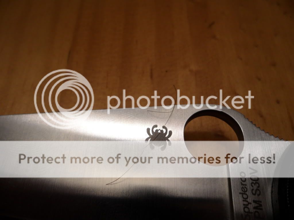 SAM_0219_zps478f1e32.jpg