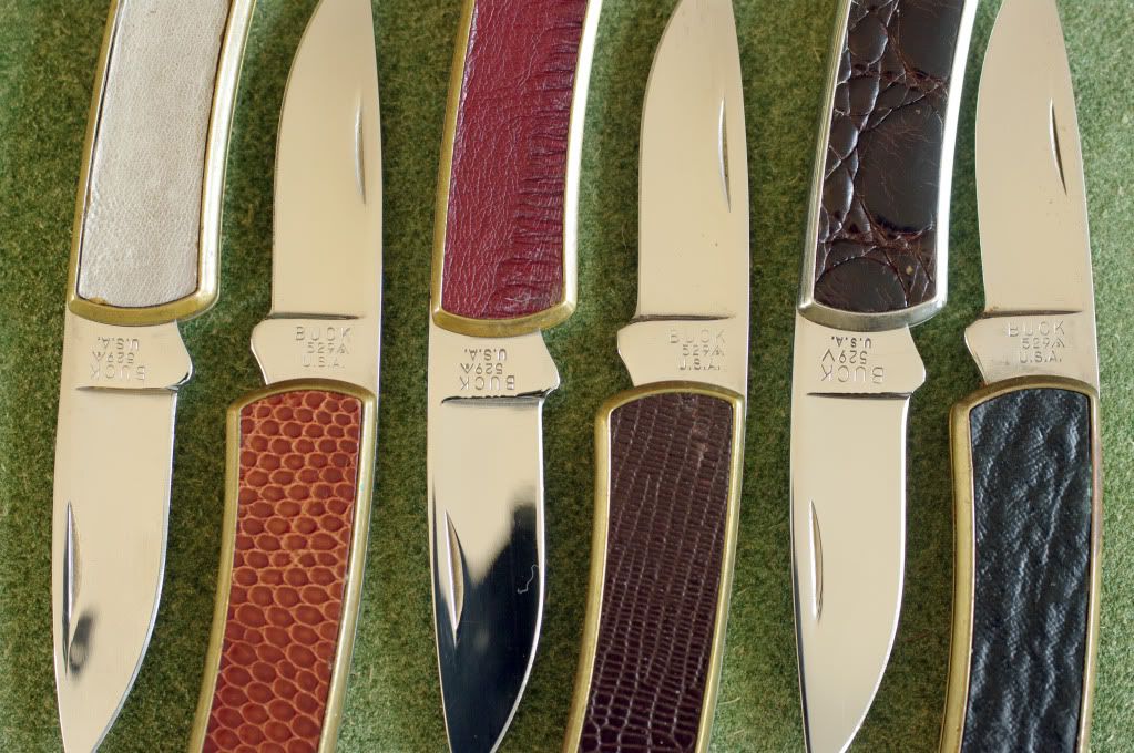 Buck529allesechsAusschnitt.jpg