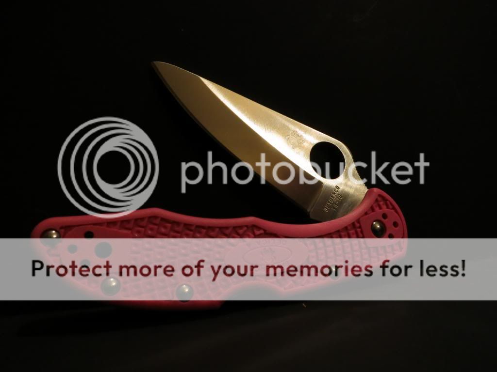IMG_0603_zpsb53a65b7.jpg