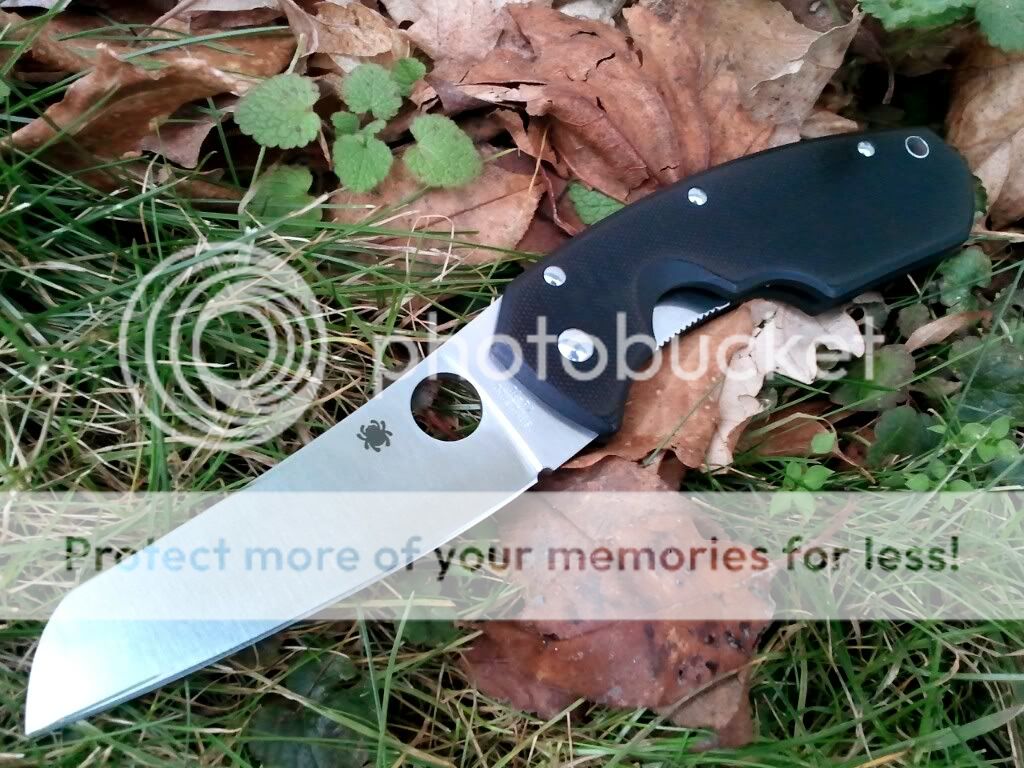 1327526078-picsay.jpg