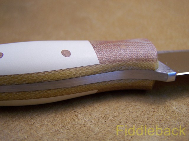 20130222100_9670-vi.jpg