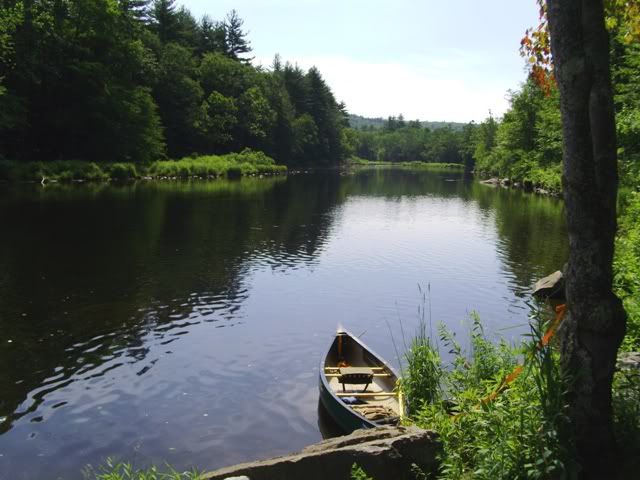 PICT0325.jpg