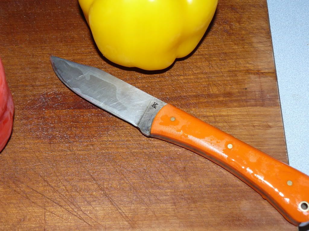 2010126.jpg