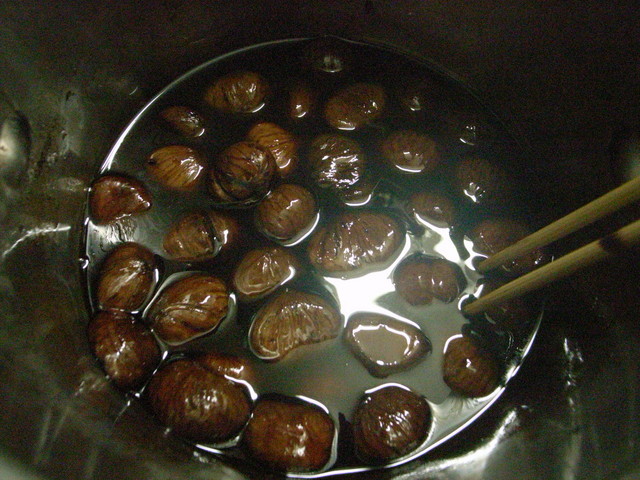 2009.10.06.r0019139.jpg