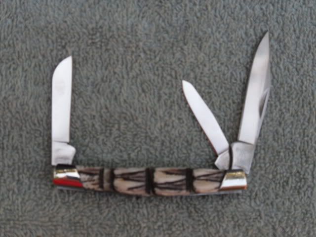 Dillo303.jpg