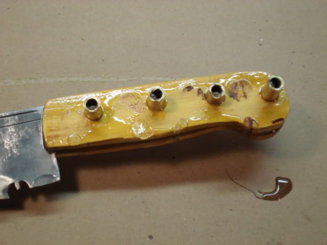 DSC00146.jpg