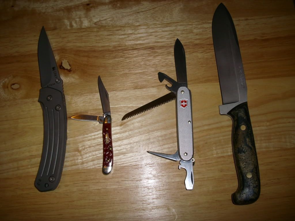DSCI0549.jpg
