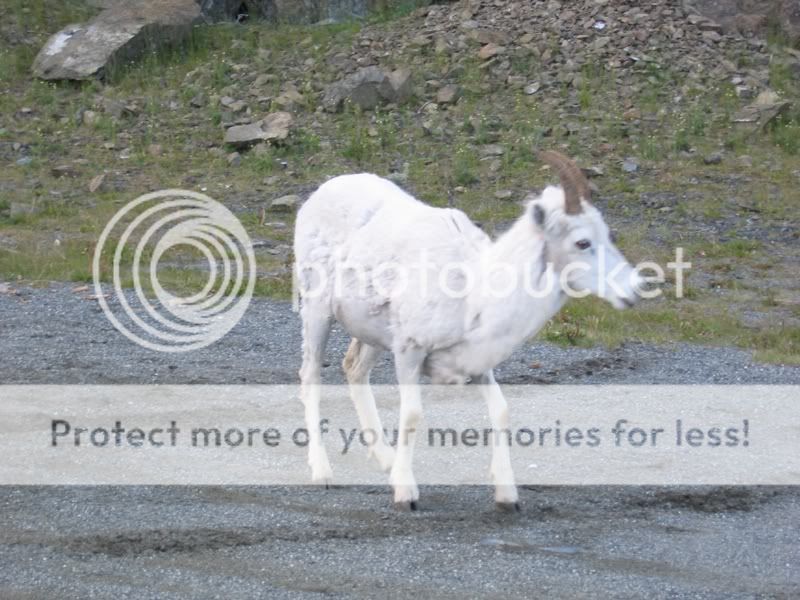dallhwy.jpg
