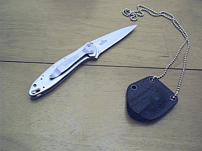 leek01.jpg