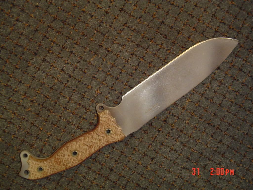 BusseFSH008.jpg