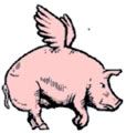 flyingpig.jpg