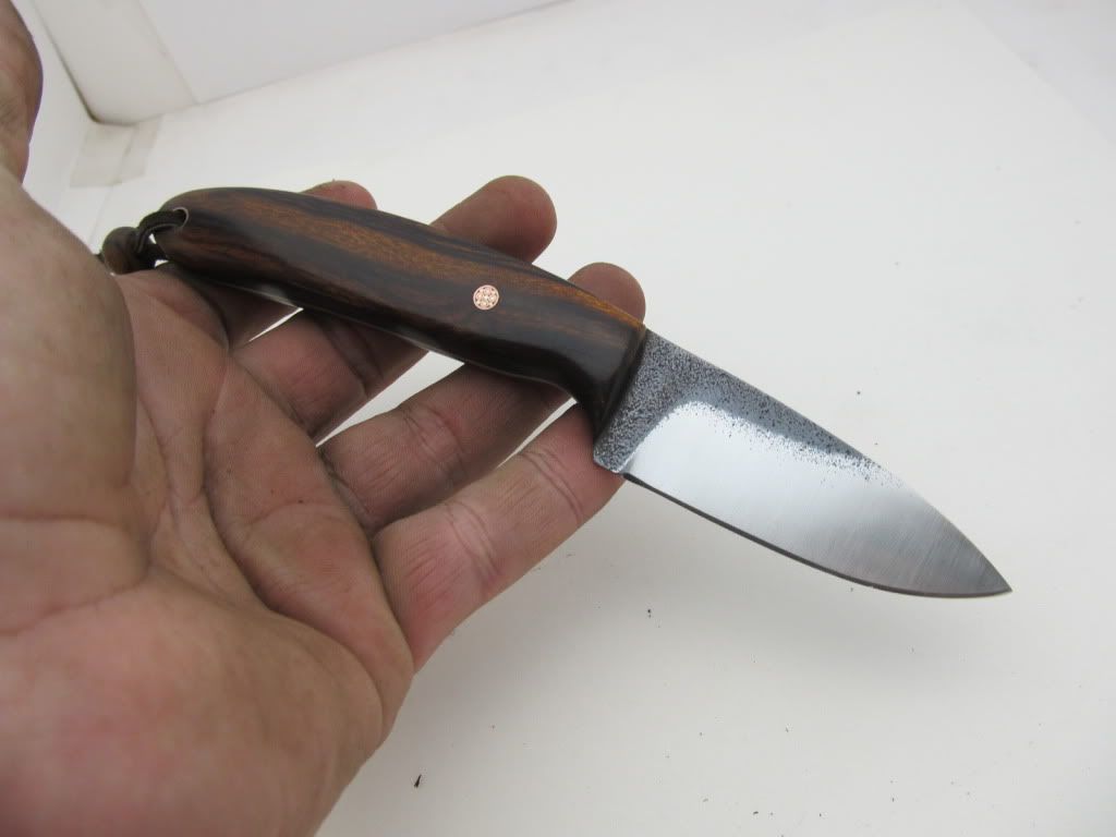 Ironwoodmiserywhipedc019.jpg