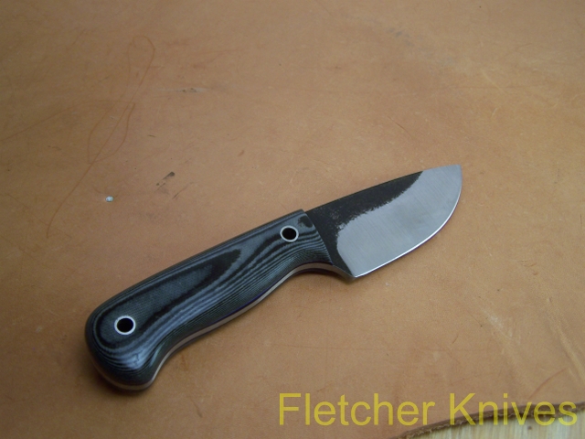 dylbs105_2157-vi.jpg