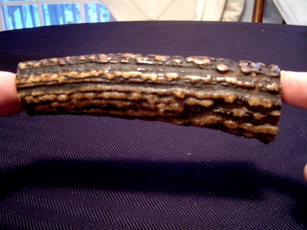 DSC03501.jpg