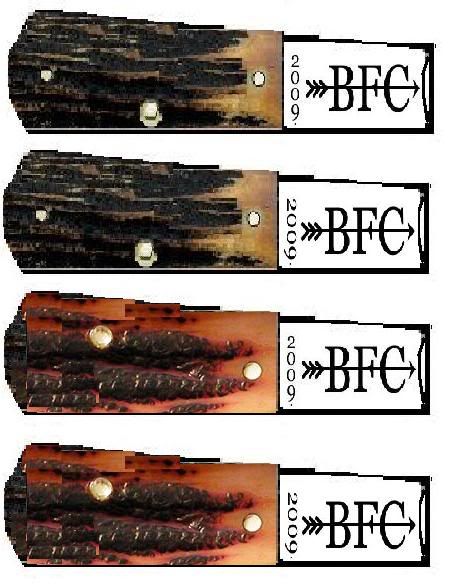 BFCBARLOW-3.jpg