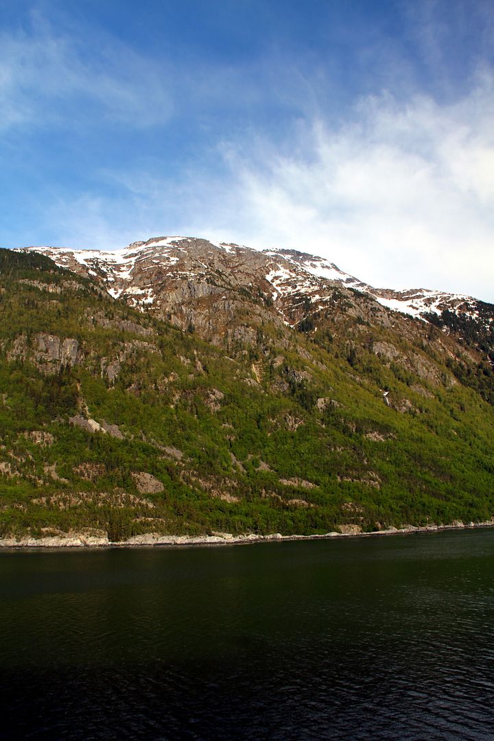 IMG_9963.jpg