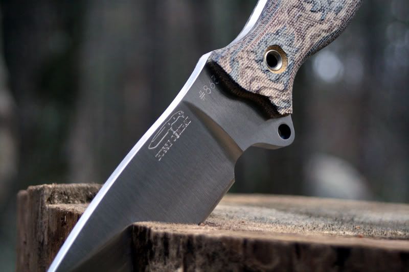 05BATACLE863-0760.jpg
