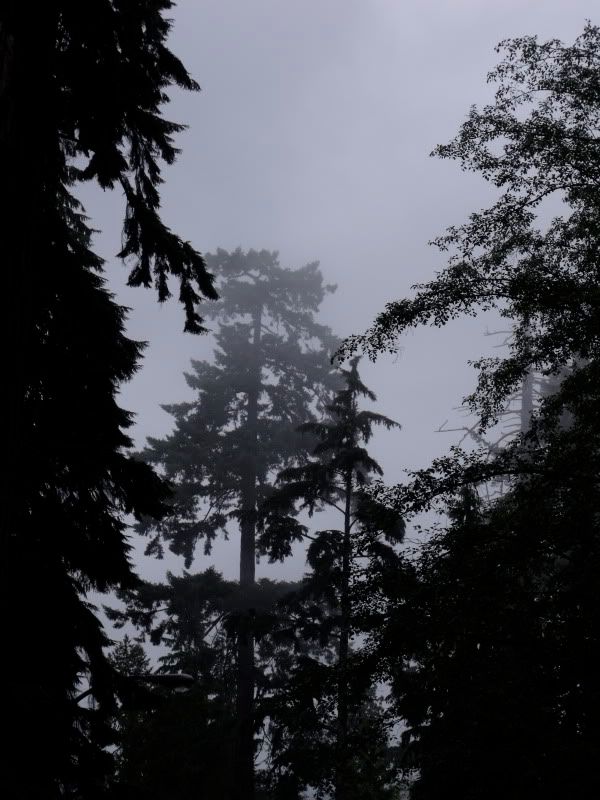 DSCF3783.jpg